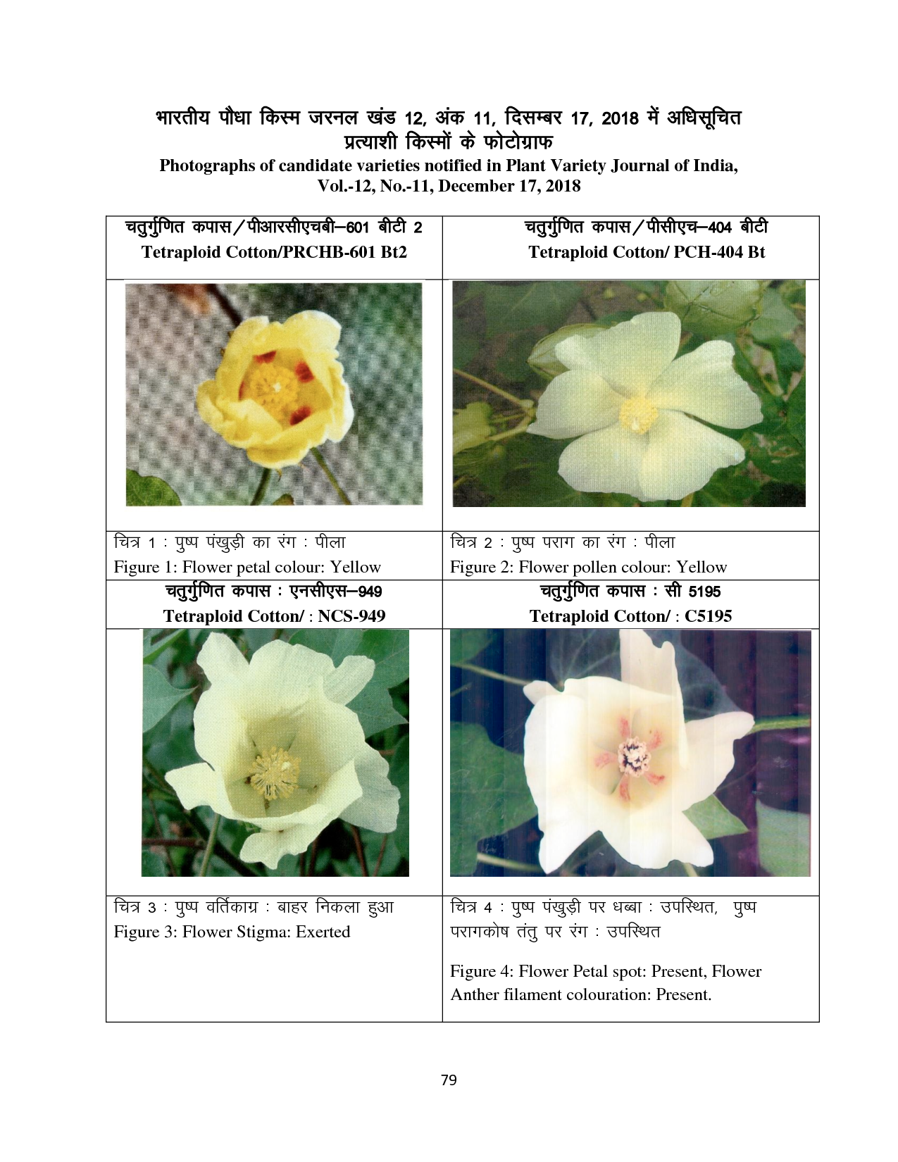 Eleventh Issue 17 December, 2018 (Vol.12 No.11) Official website of