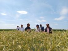 Field visit at Hannover